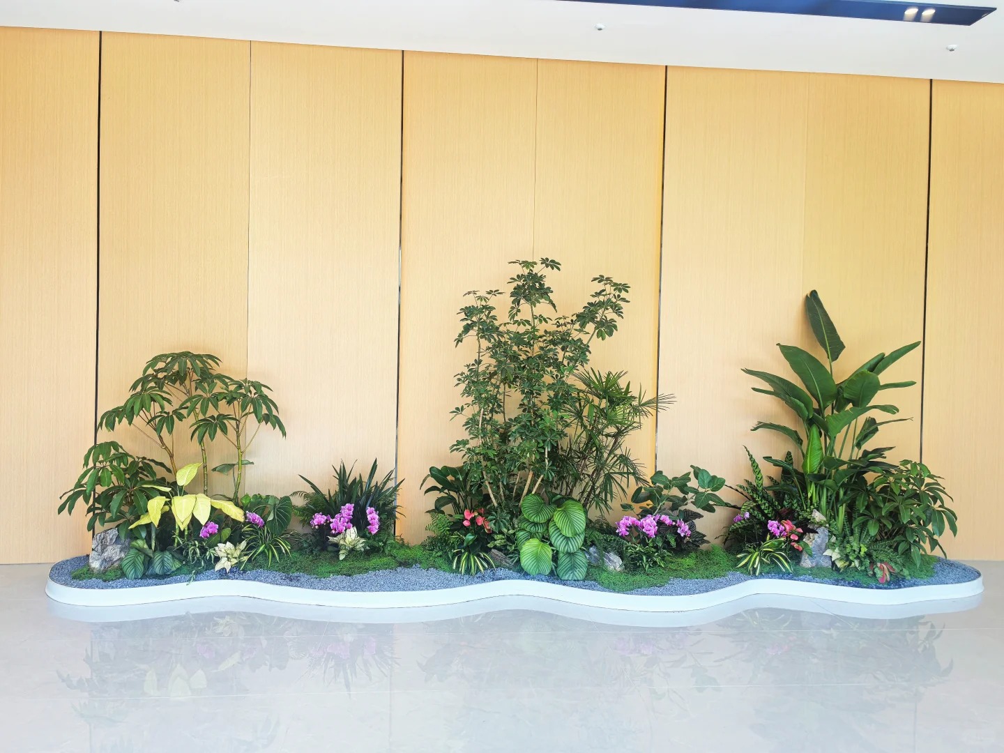 余姚植物租摆，给您的生活增添一抹自然绿