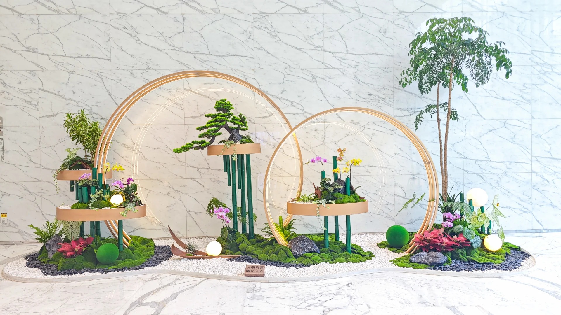 专业花木出租在慈溪,营造独特氛围