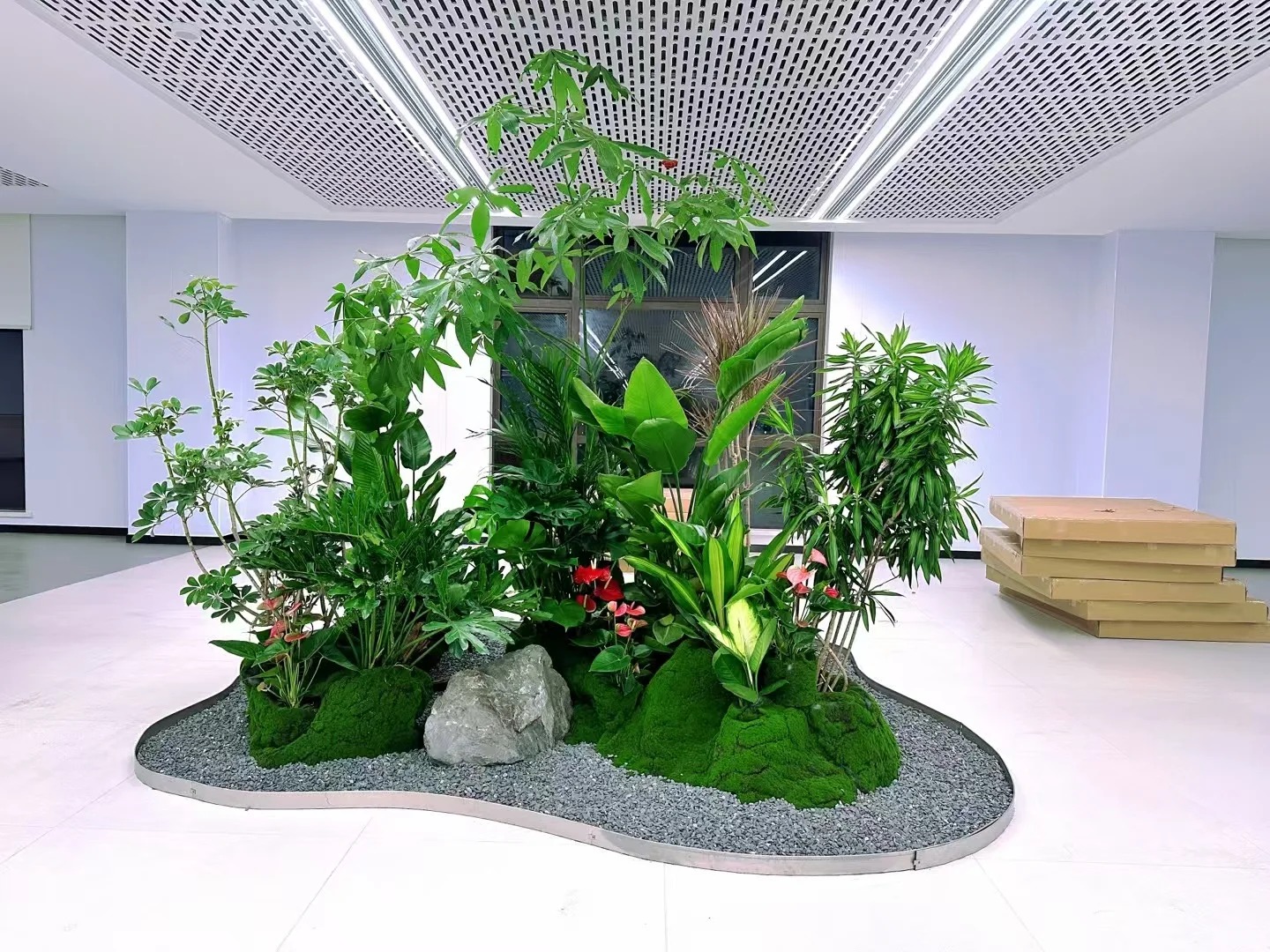 体验宁波余姚盆景租摆，畅享自然与艺术融合之美