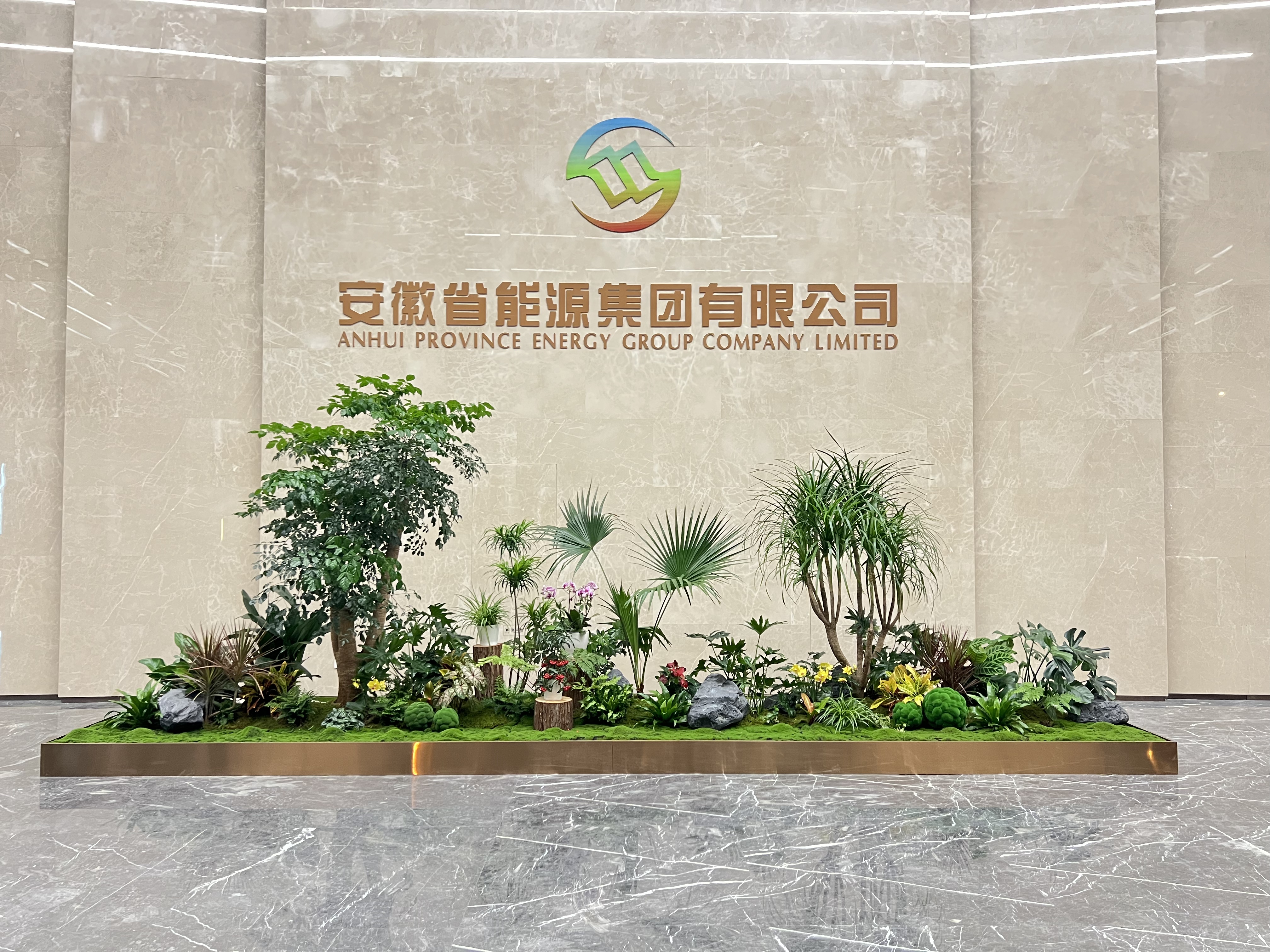 余姚植物租摆，给您的生活增添一抹自然绿